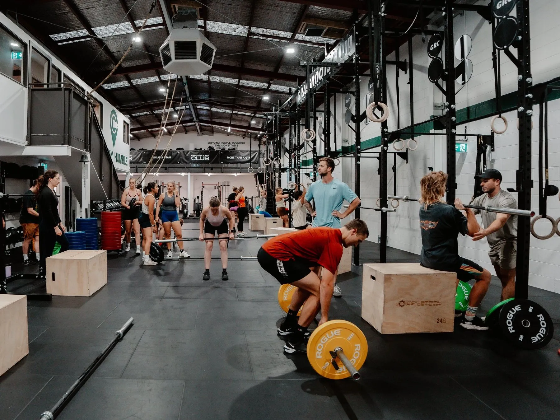 A full class mid-workout at Grassroots Club — barbells, boxes and the whole floor moving.